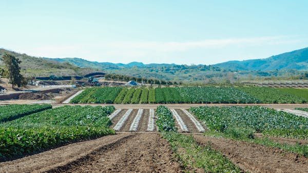 Dommage ouvrage crédit agricole : assurez vos projets en 2024